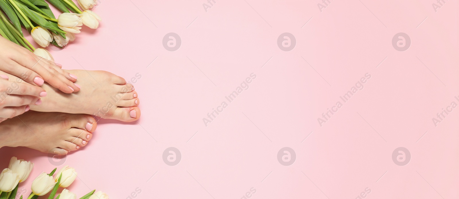 Image of Woman showing neat toenails after pedicure procedure and flowers on pink background, top view. Banner design with space for text