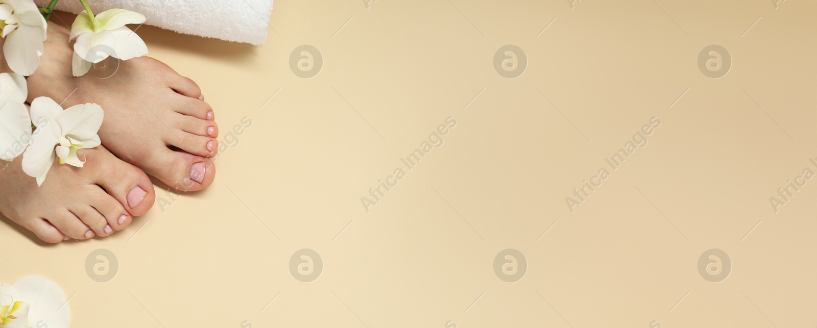 Image of Woman showing neat toenails after pedicure procedure and flowers on beige background, top view. Banner design with space for text