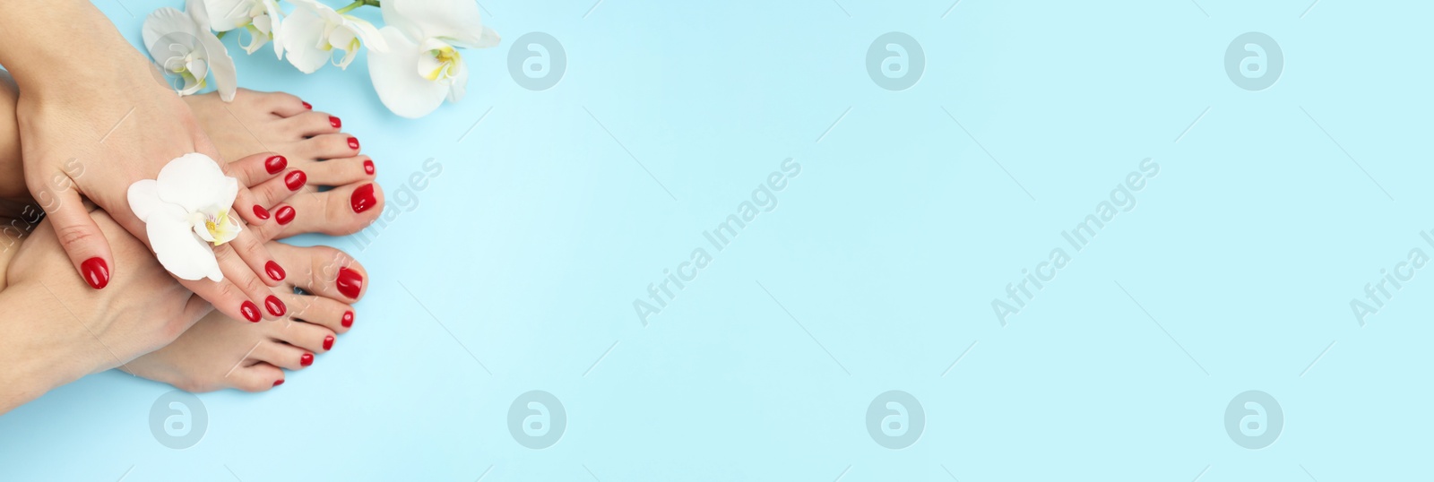 Image of Woman showing neat toenails and fingernails after pedicure and manicure procedures and flowers on light blue background, top view. Banner design with space for text