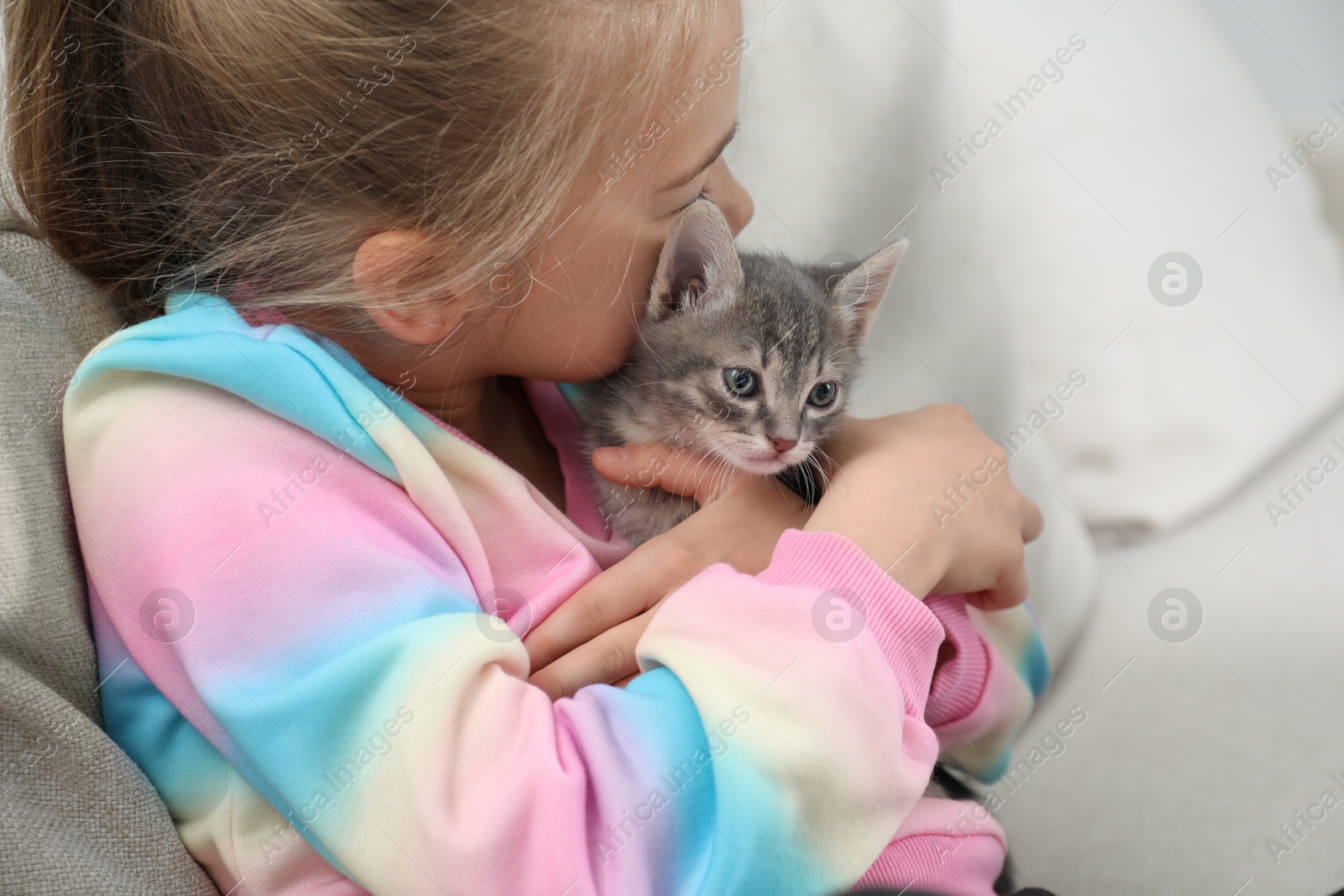 Photo of Little girl with cute fluffy kitten on sofa