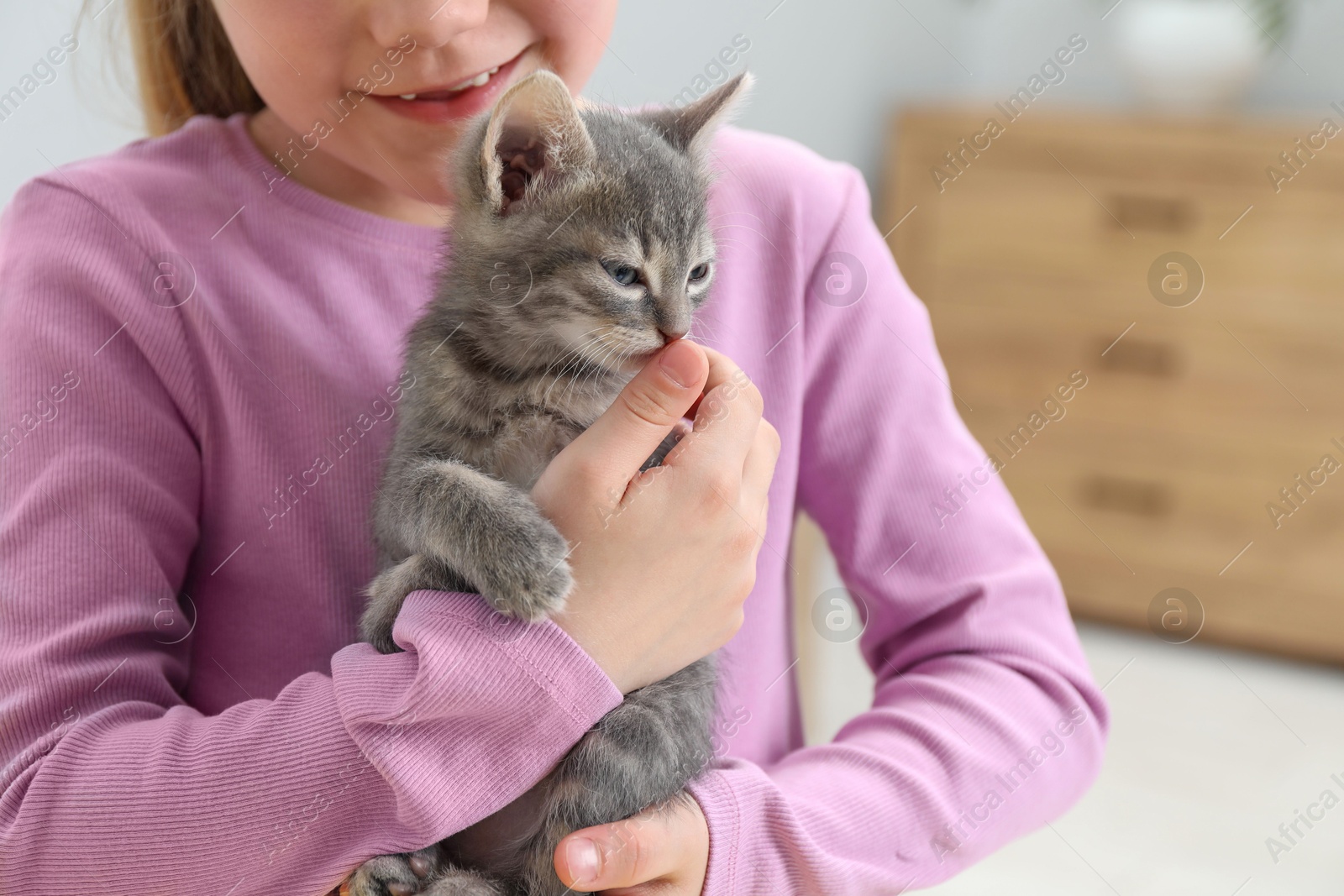 Photo of Little girl with cute fluffy kitten indoors, closeup