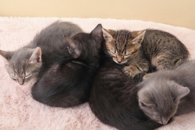 Photo of Cute fluffy kittens on faux fur. Baby animals