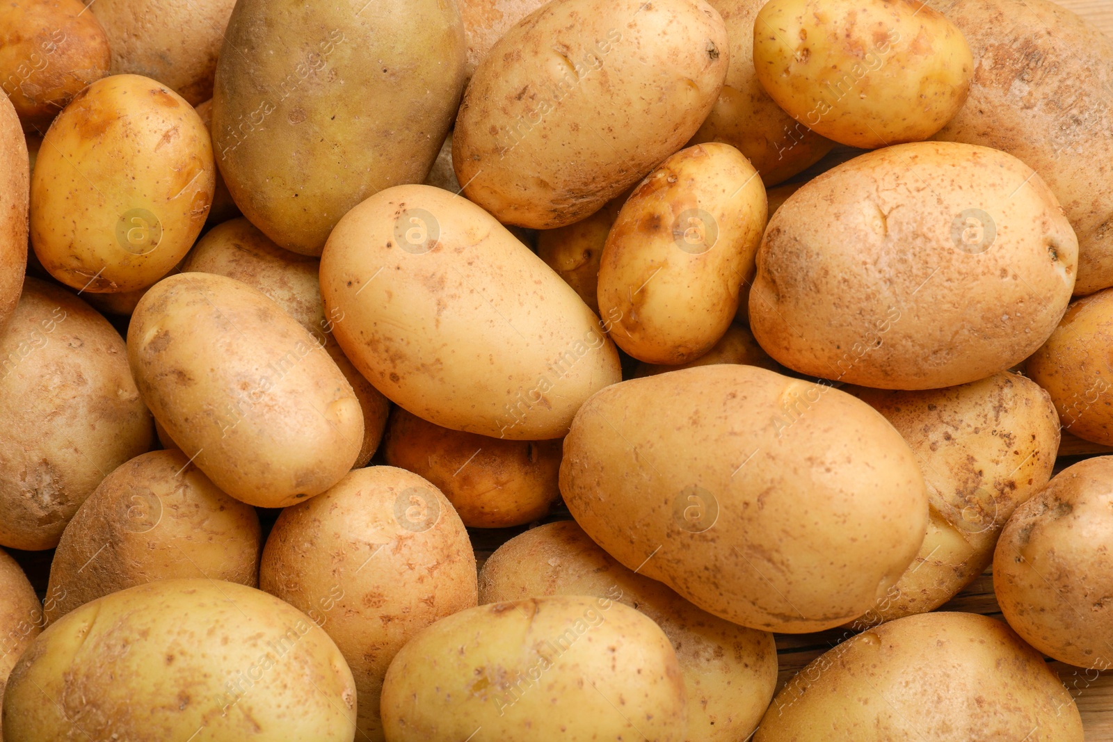 Photo of Many fresh potatoes as background, top view