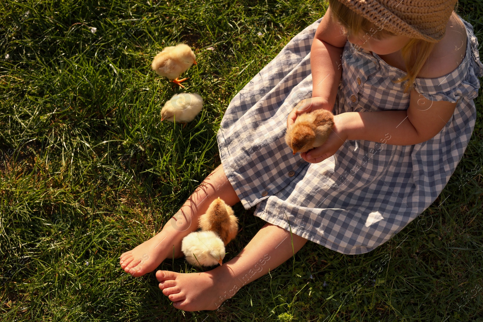 Photo of Little girl with cute chicks on green grass outdoors, top view