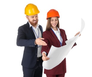 Engineers in hard hats with draft on white background