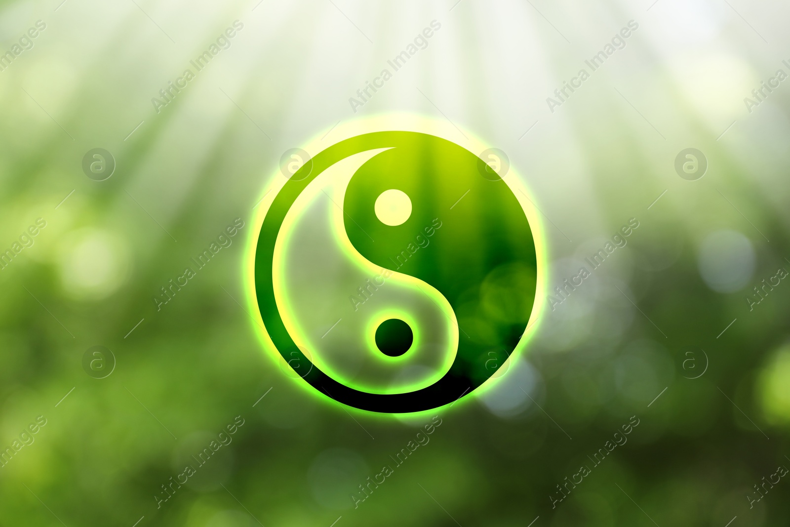 Image of Yin and yang symbol against blurred green trees