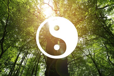 Image of Yin and yang symbol against sunlit tree in nature