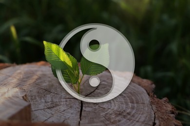 Yin-yang symbol and tree stump with green leaves