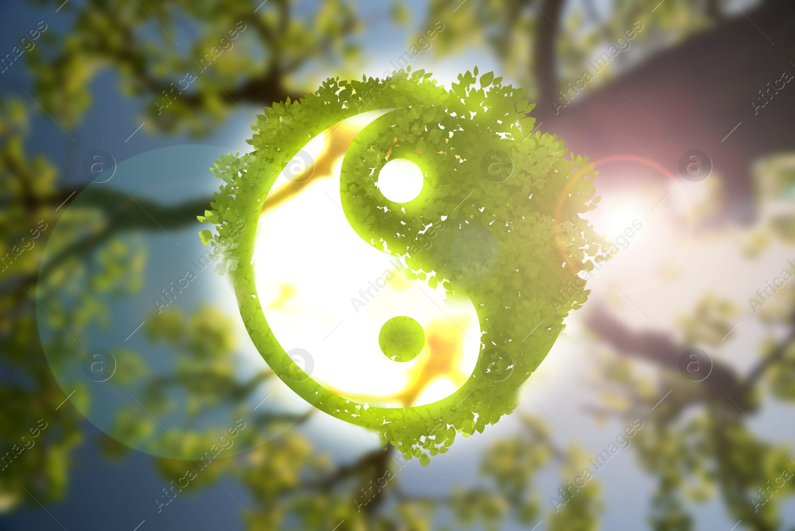 Image of Yin and yang symbol with green leaves against blurred tree branch