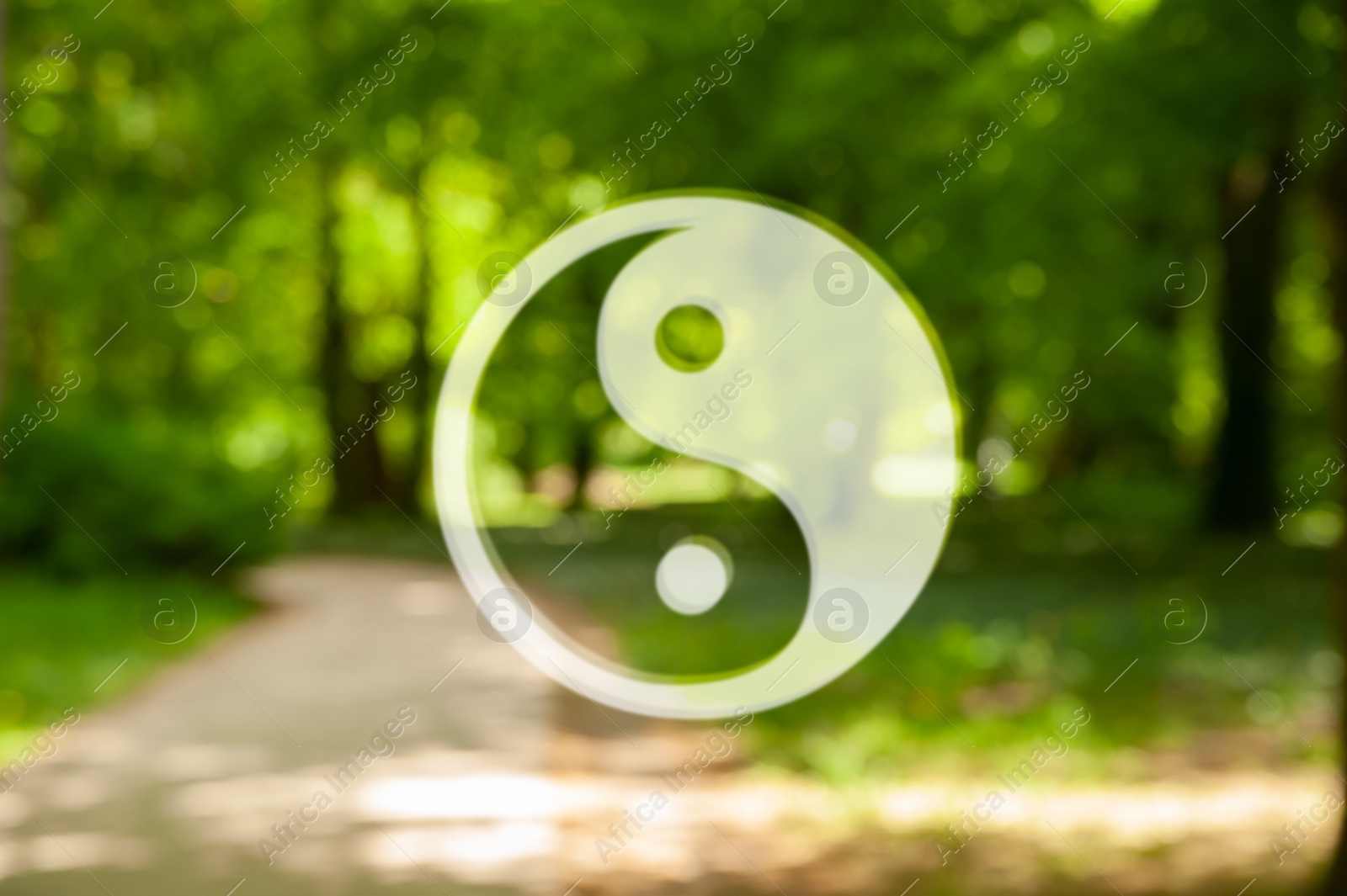 Image of Yin and yang symbol against blurred view of green park