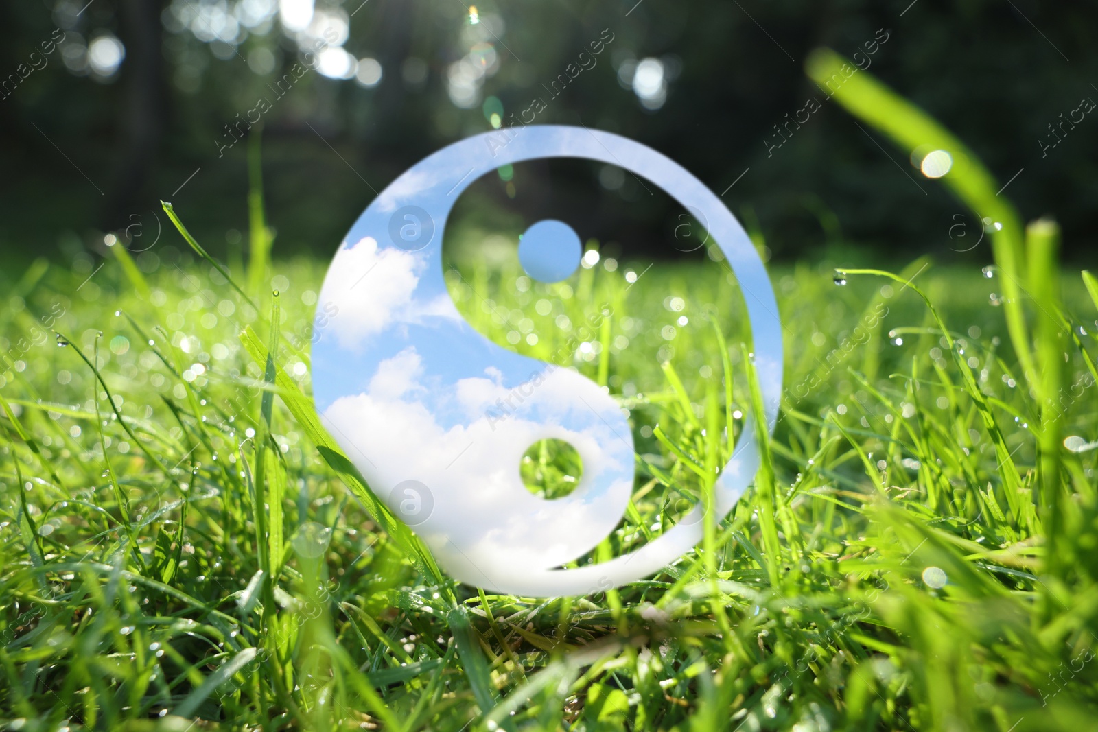 Image of Yin-yang symbol and green grass with dew