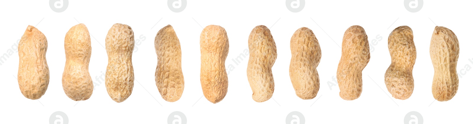 Image of Many peanuts in pods isolated on white, set