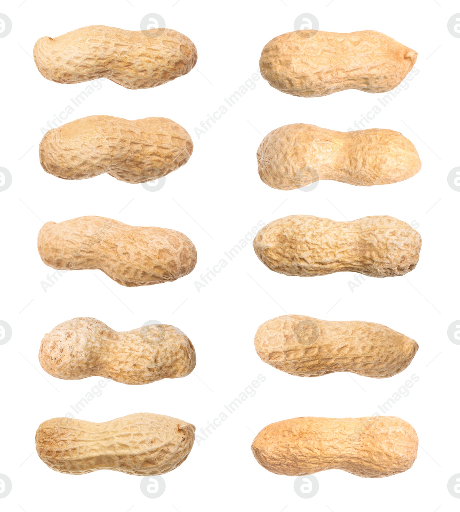 Image of Many peanuts in pods isolated on white, set