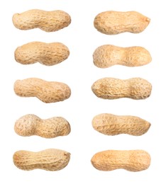 Image of Many peanuts in pods isolated on white, set