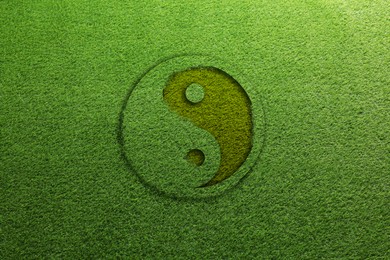 Image of Yin and yang symbol on vibrant green grass