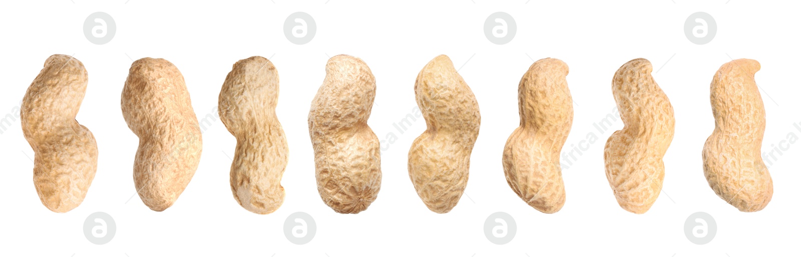 Image of Many peanuts in pods isolated on white, set