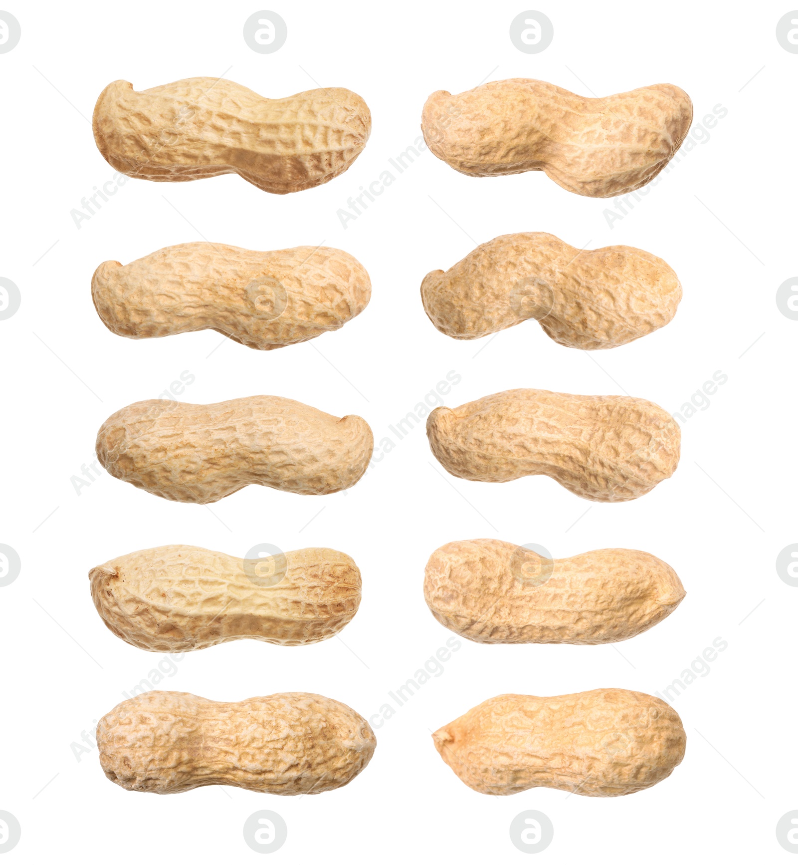 Image of Many peanuts in pods isolated on white, set