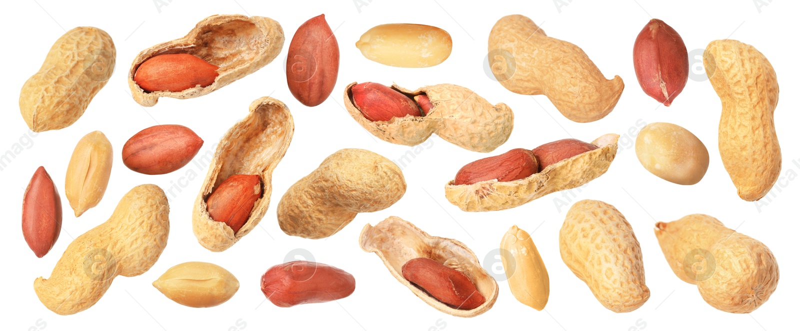 Image of Many different peanuts isolated on white, set