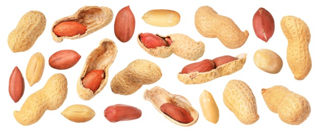 Many different peanuts isolated on white, set