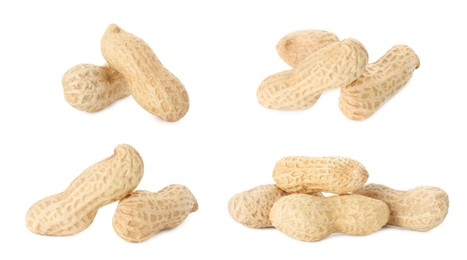 Image of Many peanuts in pods isolated on white, set