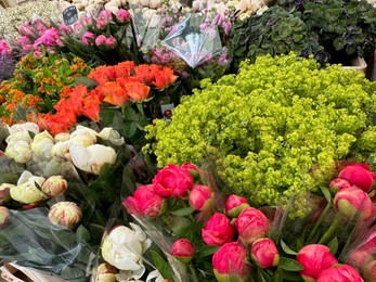 Photo of Assortment of beautiful flowers in floral shop, closeup