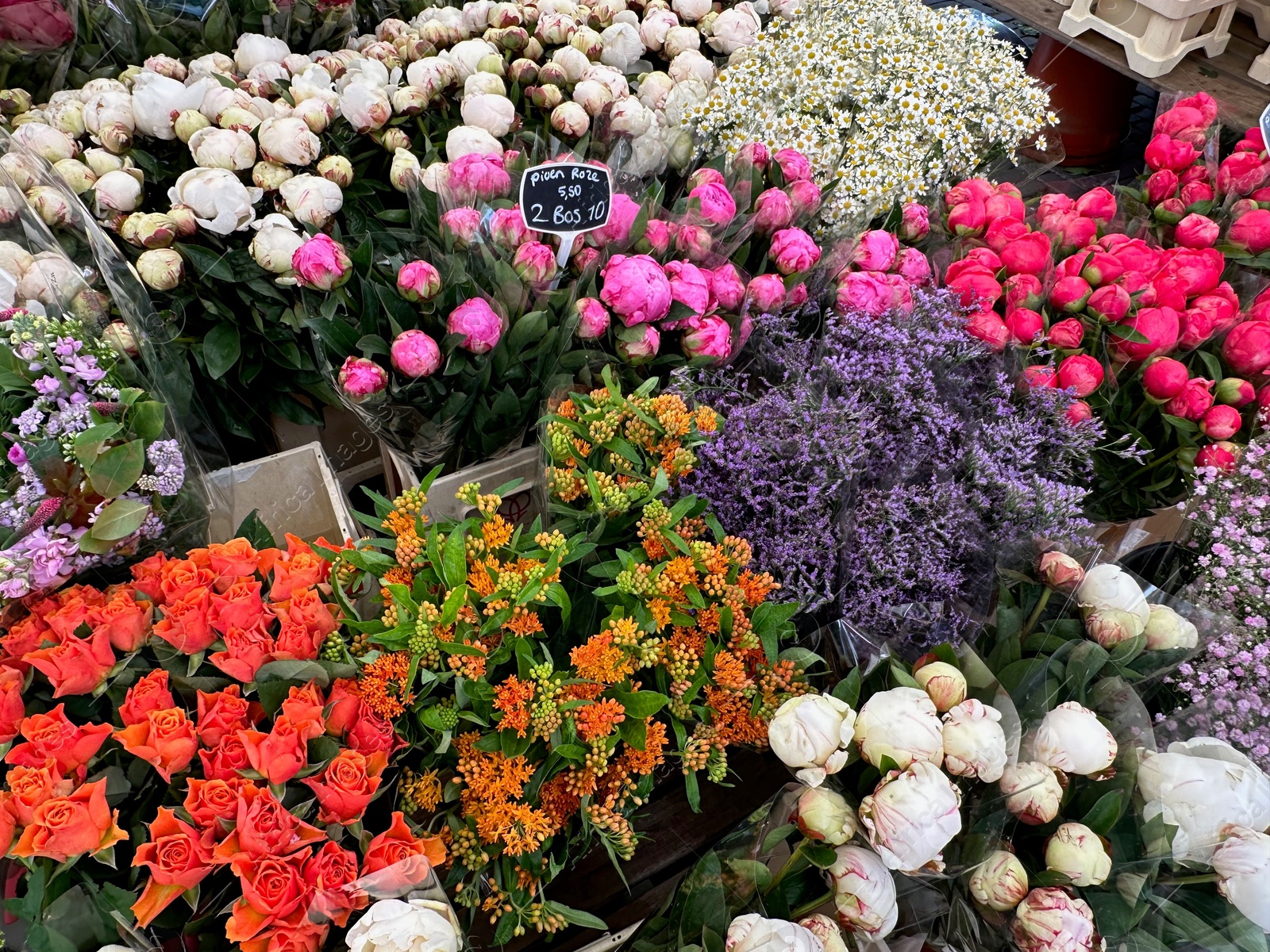 Photo of Assortment of beautiful flowers in floral shop