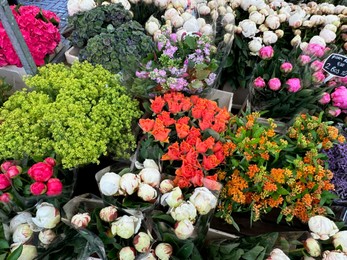 Photo of Assortment of beautiful flowers in floral shop