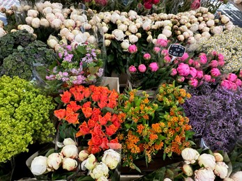 Photo of Assortment of beautiful flowers in floral shop