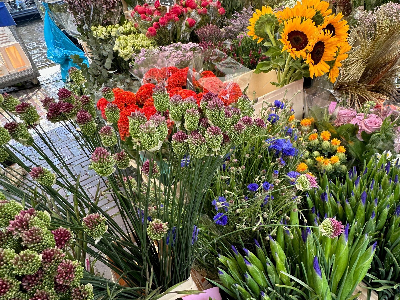 Photo of Assortment of beautiful flowers in floral shop