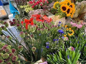 Assortment of beautiful flowers in floral shop