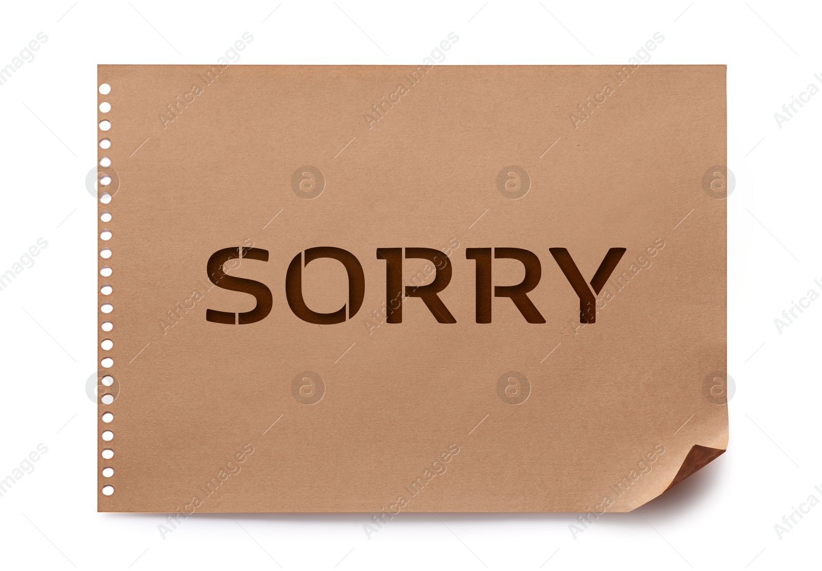 Image of Sorry paper note on white background, top view