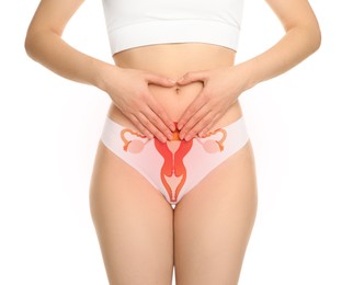 Woman in underwear and illustration of female reproductive system on white background, closeup. Gynecology