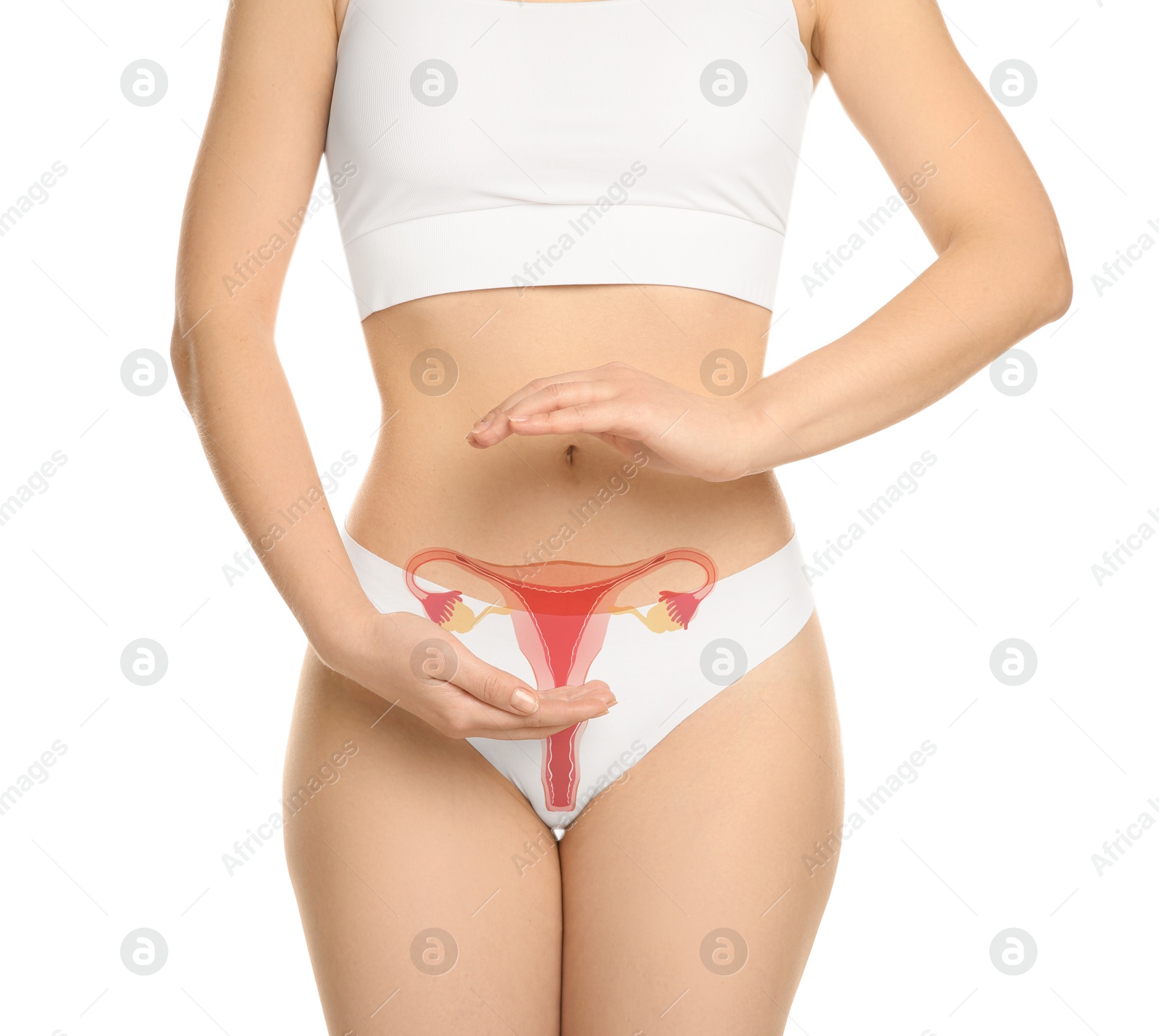 Image of Woman in underwear and illustration of female reproductive system on white background, closeup. Gynecology