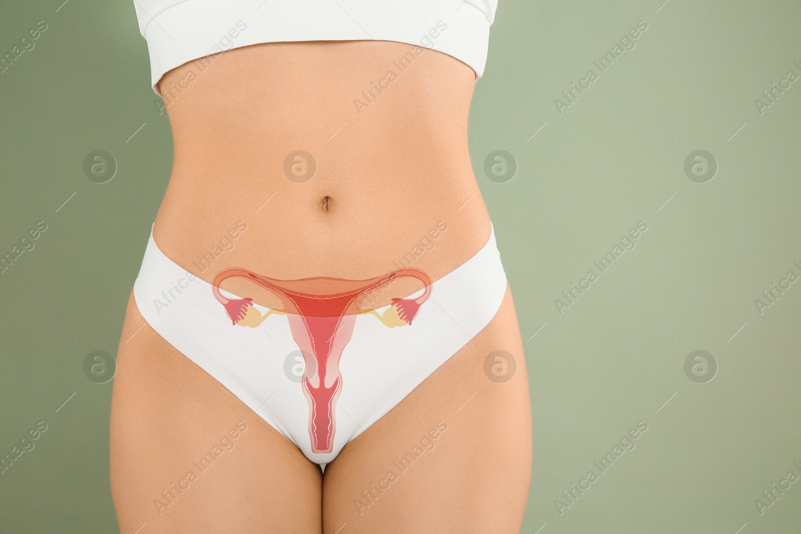 Image of Woman in underwear and illustration of female reproductive system on olive color background, closeup. Gynecology