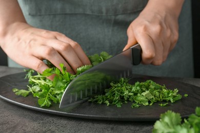 Woman cutting fresh coriander at grey textured table, closeup