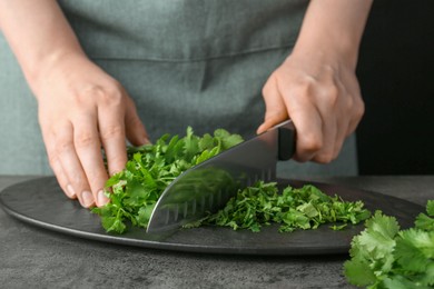 Photo of Woman cutting fresh coriander at grey textured table, closeup