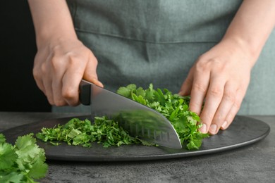 Woman cutting fresh coriander at grey textured table, closeup