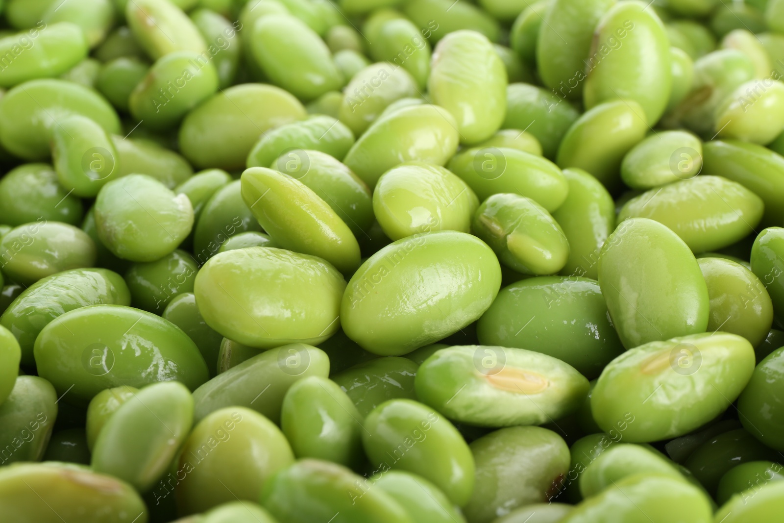 Photo of Raw green edamame soybeans as background, closeup