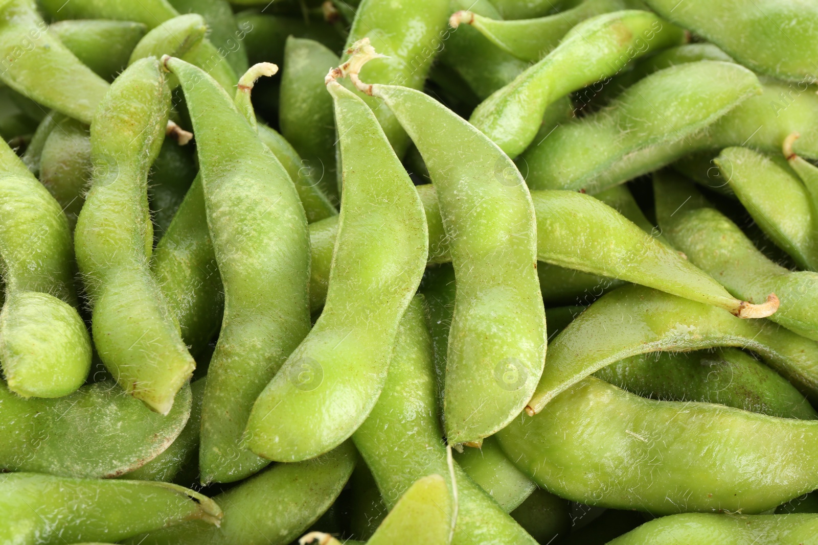 Photo of Raw edamame pods as background, closeup view