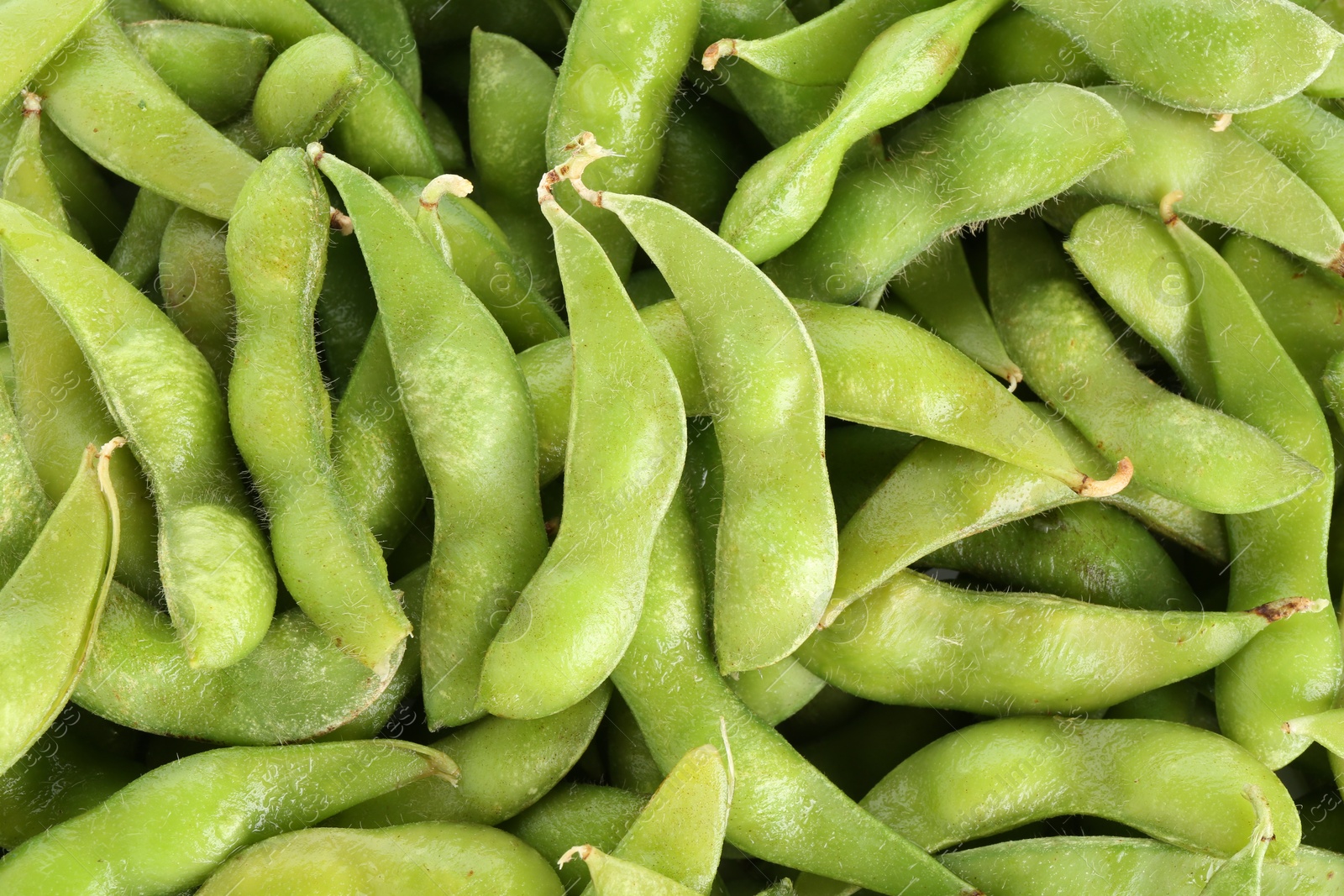 Photo of Raw green edamame pods as background, top view