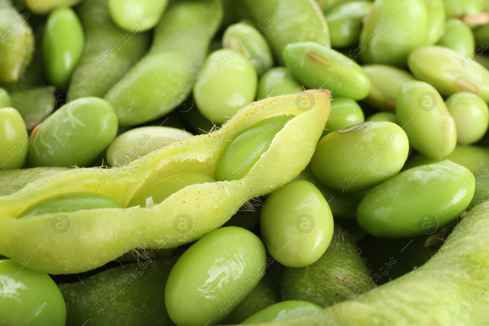 Photo of Raw green edamame soybeans and pods as background, closeup