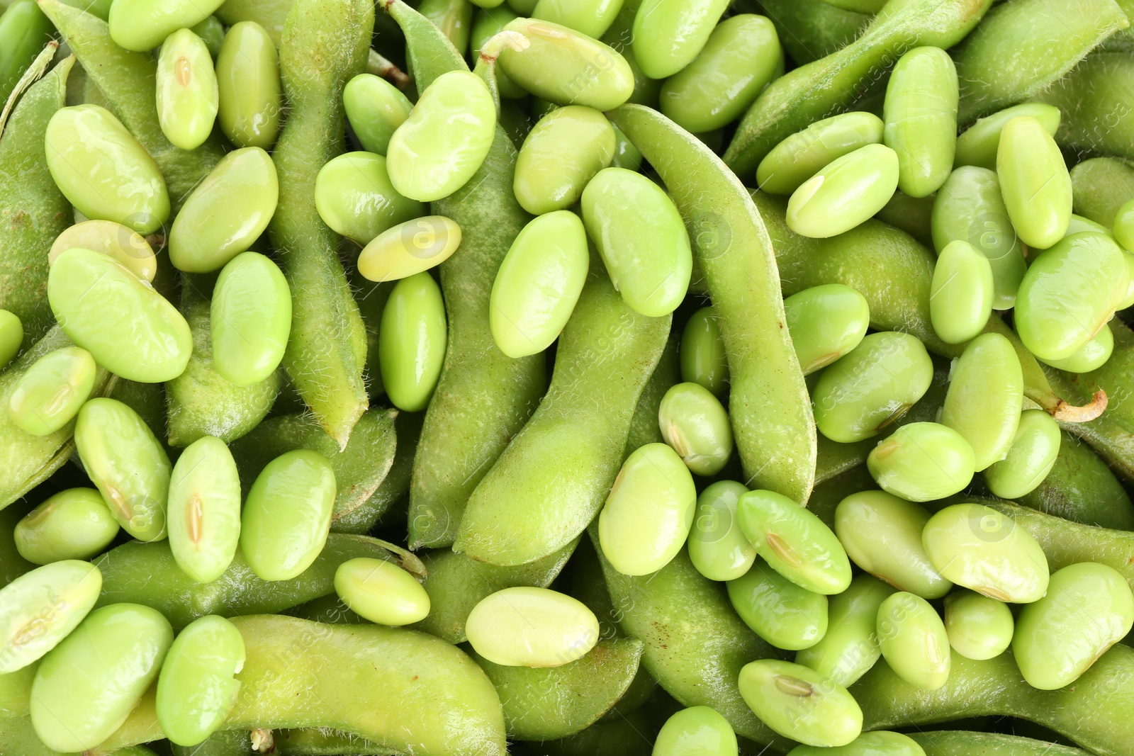 Photo of Raw green edamame soybeans and pods as background, closeup