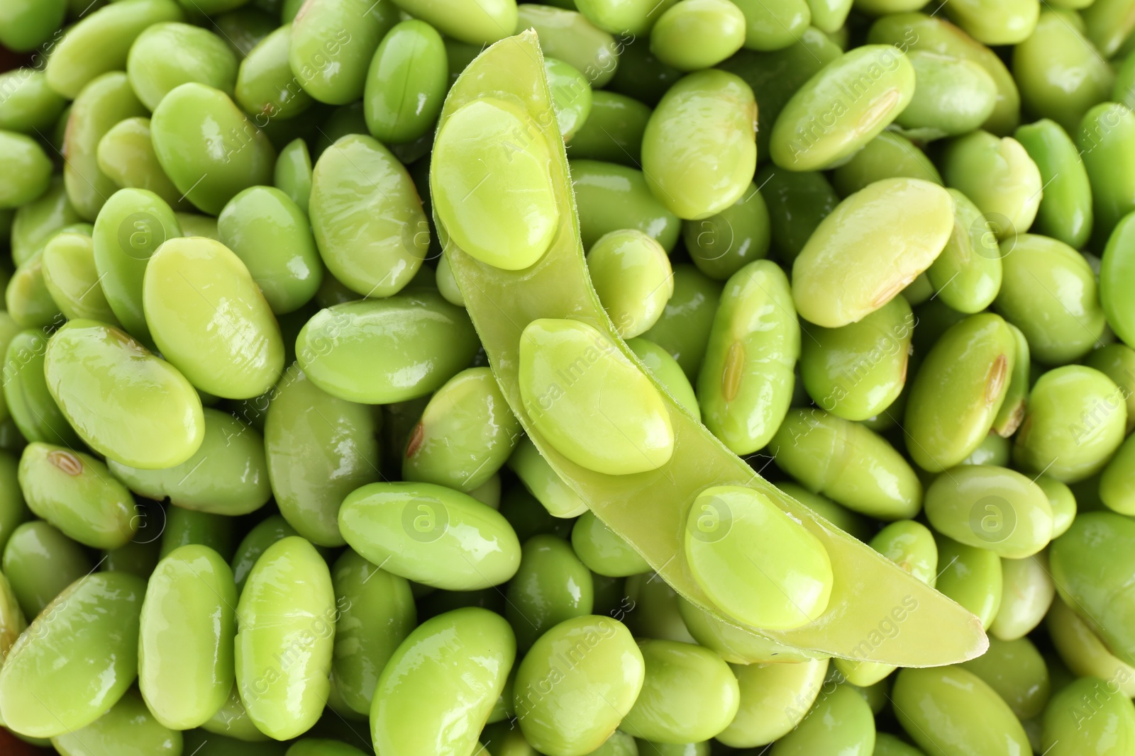 Photo of Raw green edamame pod on soybeans as background, top view