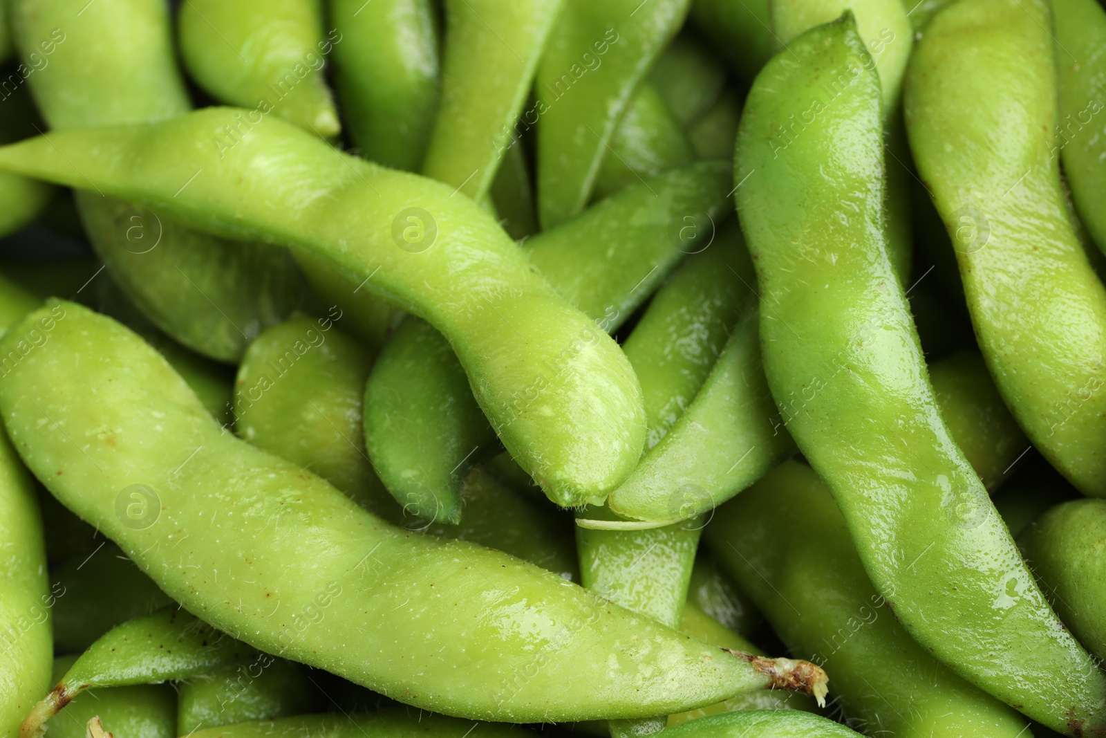 Photo of Fresh edamame pods as background, above view