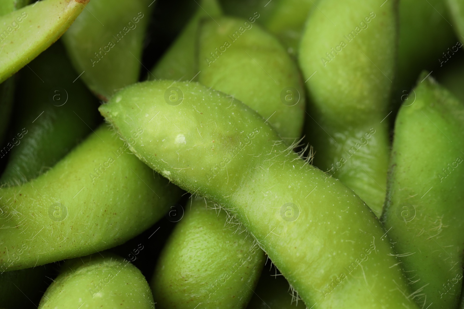 Photo of Fresh edamame pods as background, above view