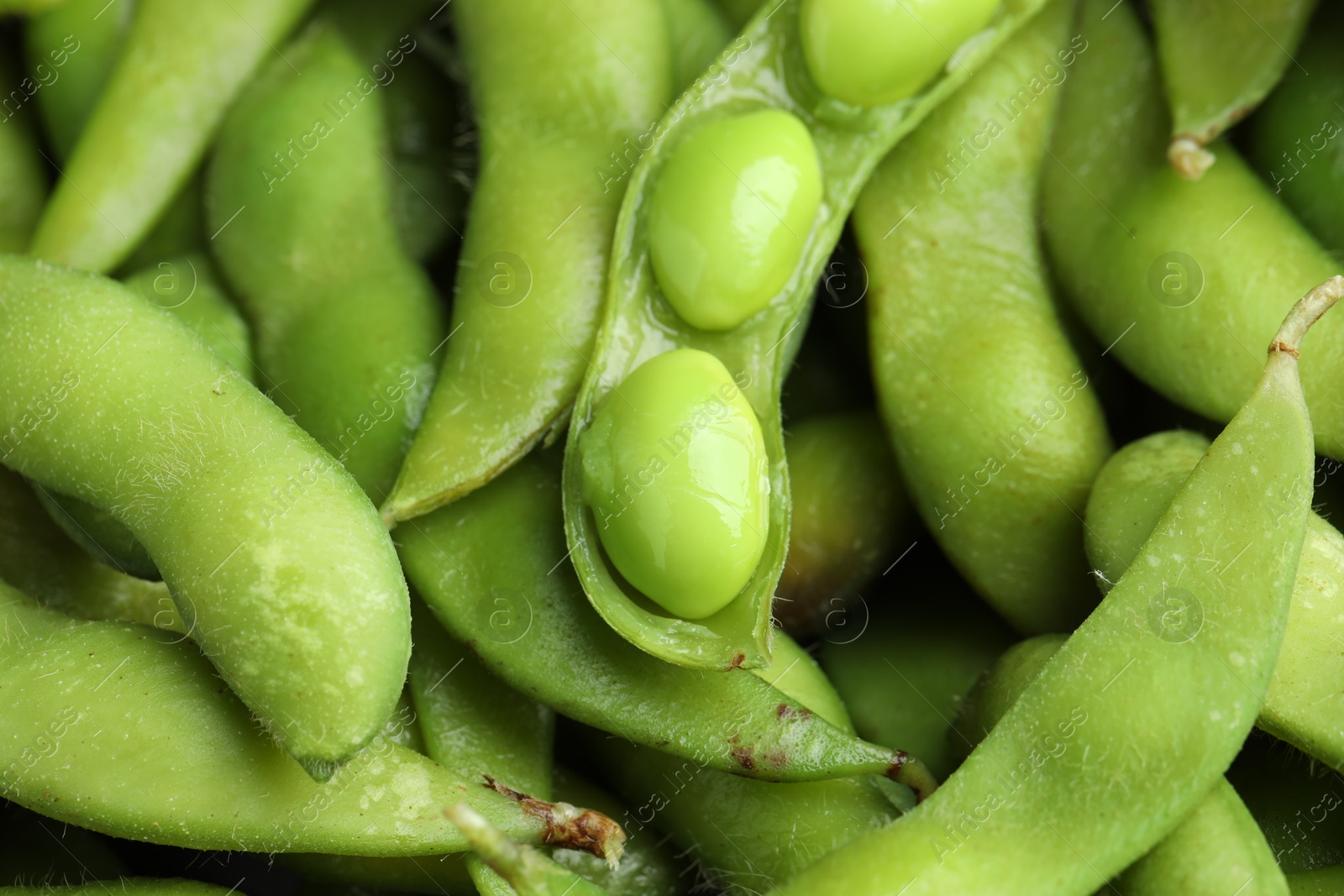 Photo of Fresh edamame pods with soybeans as background, closeup