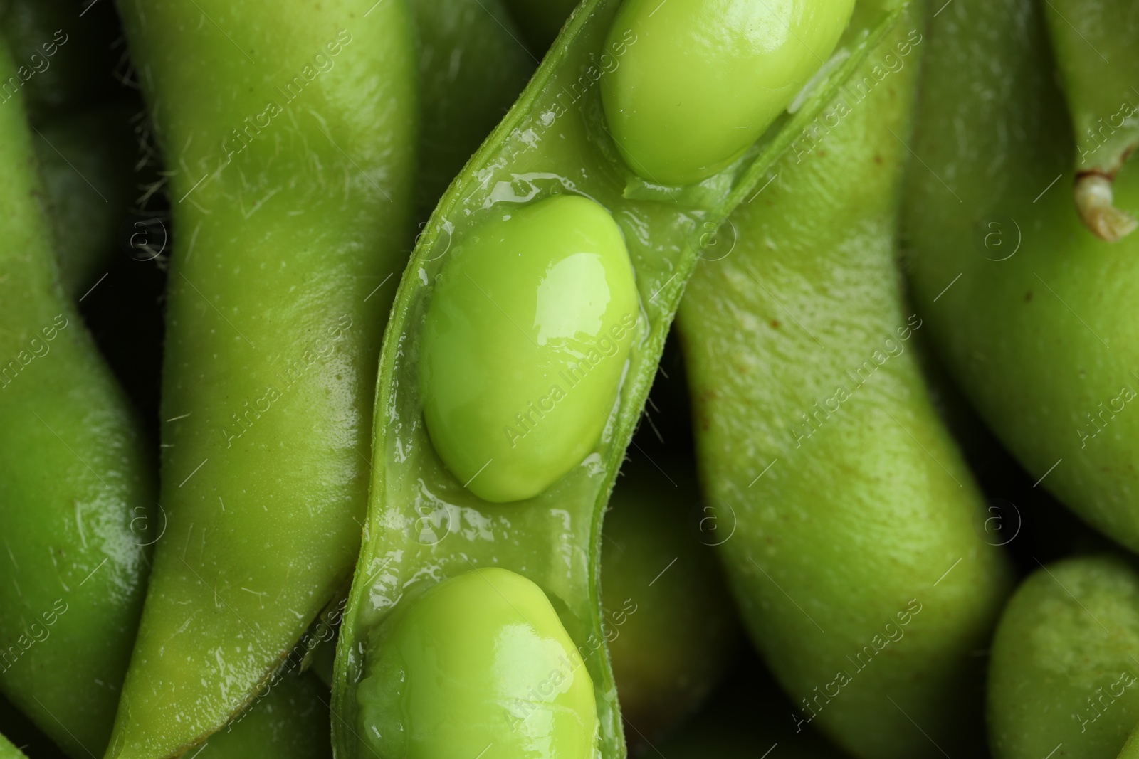 Photo of Fresh edamame pods with soybeans as background, top view