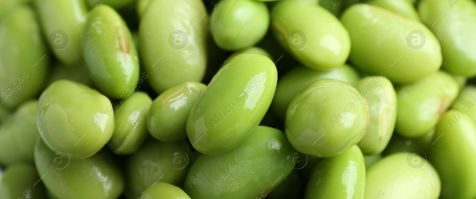 Photo of Fresh edamame soybeans as background, above view