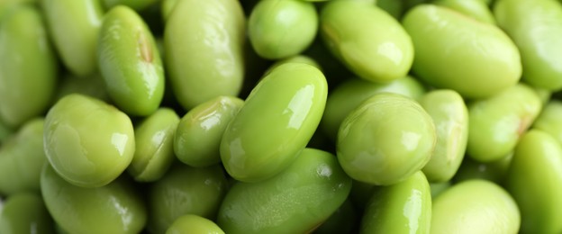 Photo of Fresh edamame soybeans as background, above view