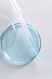 Transfer pipette and petri dish on white background, top view